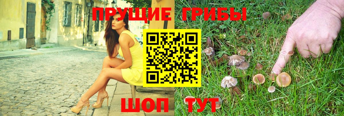 Галлюциногенные грибы Magic Shrooms Алексин