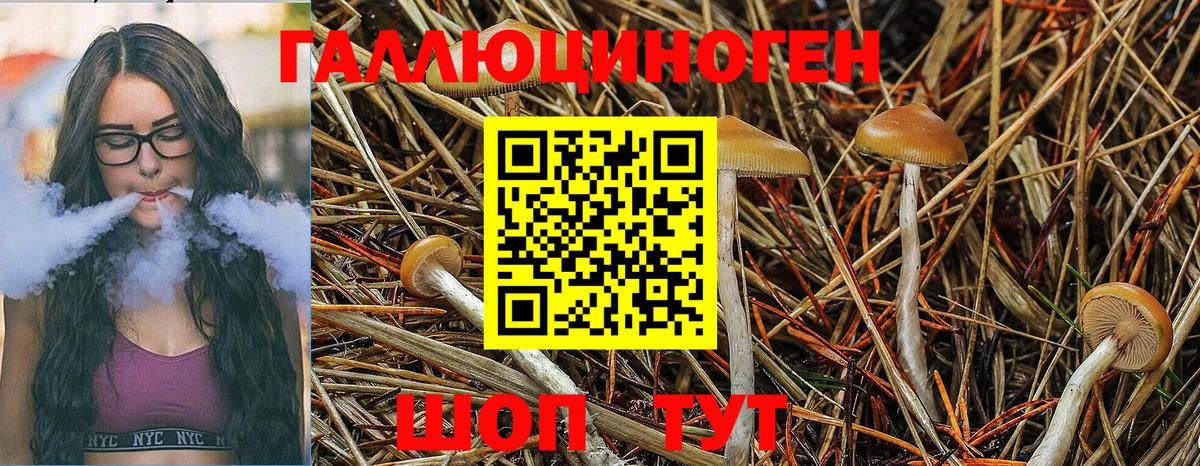 Псилоцибиновые грибы Magic Shrooms  Псилоцибиновые грибы ЛСД  Вход с VPN  как найти закладки  Алексин 